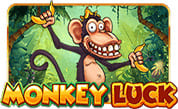 Monkey Luck